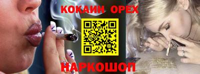 сатива Нальчик