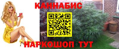 сатива Нальчик