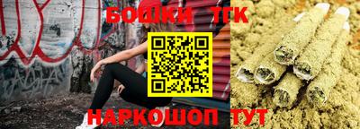 сатива Нальчик
