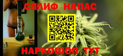 сатива Нальчик