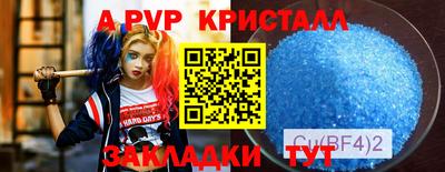 сатива Нальчик